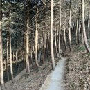 물무산행복숲둘레길 이미지
