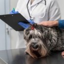 아우라케어 이미지