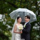 춘천세종관광호텔 | 비가 내려도 즐거운 춘천 세종호텔 야외예식 본식 후기 / SkipHaHa(스킵하하,)