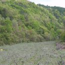 내고1농로 이미지