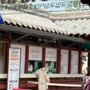 작은도서관 소풍 | 남이섬에서 겹벚꽃 구경도 하며 아이와 봄소풍