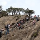 동산계곡 입구 Daum카페