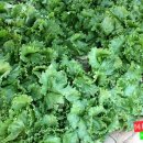 꽃쌈샤브샤브 이미지