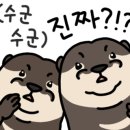 또친 - 서구 | 또친