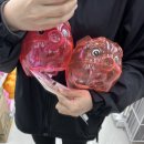 2023년 2월부터 4월 마지막 주의 기록 (리빙페어, 인왕산, 아비에무아, 고터꽃시장, 감기)