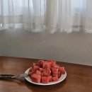 구목씨의 휴식 이미지