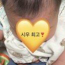 시우 보러 다니는 보모 일상 (삼시세끼 다 챙겨 주시는 주인집💛항상 감사합니다)