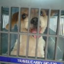 남현동-17 이미지