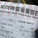 둥글개 둥글개 | 9 / 17 ~ 18 • 네모둥글뾰족 ♾️