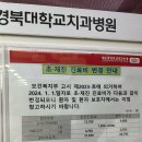 경북대학교 치과병원 치과보존과, 구강 내과 치료 후기