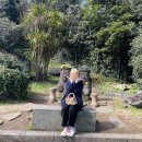 남쪽바다 작은 섬 | 제주도남쪽코스 제주남쪽 가볼만한곳 여행지 추천