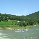 새말공인중개사사무소 이미지