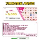 멕시모스터디카페 이미지