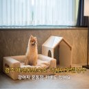 더케이트래블