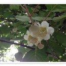 해영농장 이미지