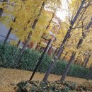 송정제방길 이미지