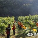 주현주농장 이미지