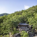 문경약업사 | 충북 괴산 계곡 여행