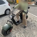 시속삼십킬로미터 | [중국산 할리 X9 2인용 전동 스쿠터 전기바이크 ; 탈착 배터리 20A 1500W 리얼 찐 후기 들고왔어요!]
