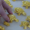 박지원 &#34;300만원 디올백 영부인, 650만원 금거북이 총장 없어야 교육의 질 UP&#34; 이미지