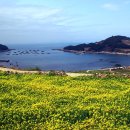 마동동사무소 이미지