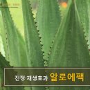 다미인의원 이미지