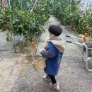 원규농장 이미지