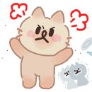 명품 참 한우 이미지