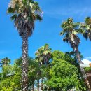 하영올레 2코스 | 제주도 여행 하영올레 2코스 완주 인증스탬프가 있는 서복전시관