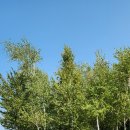 화정농장 이미지