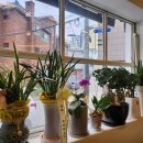 104 인생등갈비 이미지