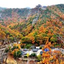 경북포항의 아름다운 가을관광 이미지