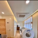 서른살나의펫 이미지