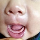 (주)베베쿡 이미지