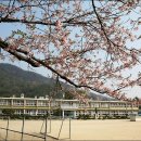 병곡초등학교 이미지