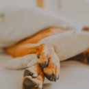 딜리동물병원 이미지