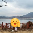 이른아침호숫가 이미지