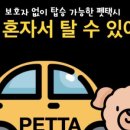 댕이요 펫택시 이미지