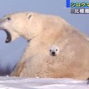 어디야
