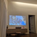 탠저린드림 | 제주 애견동반 숙소 추천 서쪽 코스에 딱 독채 탠저린드림