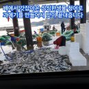 낭만과메기