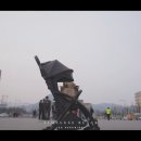 레오랩스