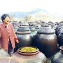 꾼들의 이야기 아시아경제