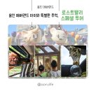 에버랜드 로스트밸리 스페셜 투어 아이와 특별한 시간 후기, 자세한 예약 방법