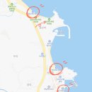 양철지붕위의고양이 | 강원도 양양 에어비앤비 숙소 - 양철 지붕 위의 고양이 숙박 후기