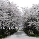 아름드리목장 이미지