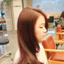 이민미용실 네이버블로그