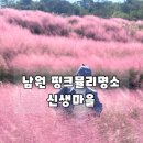 신생교회 앞 | 가을여행가볼만한곳 핑크뮬리명소 남원 신생마을 주차 및 후기