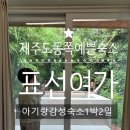 표선여가 | 제주도 동쪽 아기랑 숙소 표선여가, 제주아쿠아리움 감성 숙소 표선해수욕장 숙소 추천