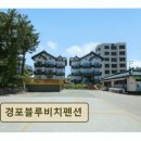 경포블루비치 네이버블로그